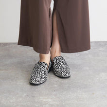 將圖片載入圖庫檢視器 Calan 014 (115) 23 cm